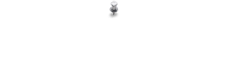    not only martial arts